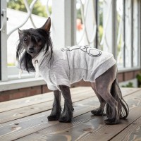 Кофта для собак Style Pets TOY серая