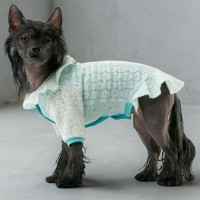 Платье с рукавом для собаки Style Pets AGUR