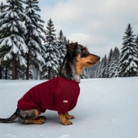 Кофта з рукавом Duke Merlot