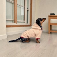 Кофта з рукавом Teddi Home