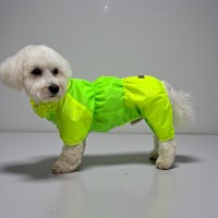 Дождевик для собак Style Pets GREEN TOWN S1
