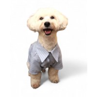 Сорочка з рукавом для собаки Style Pets Shotti