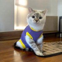 Попона комбінезон після стерилізації операцій для котів та кішок Style Pets