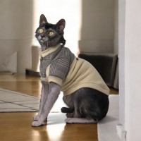Кофта для кота та кішки з рукавом Oxford ТМ Style Pets Кофта для кота та кішки з рукавом Oxford ТМ Style Pets
