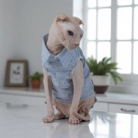 Легкая одежда для котов