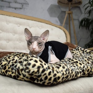 Майка для кота та кішки Style Pets PP-2019090