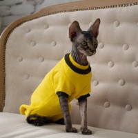 Утеплений боді для котів и кішок Style Pets DONNA-YELLOW