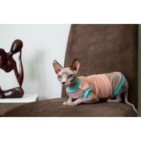 Кофта без рукава для кота та кішки Style Pets "NY" колір комбі