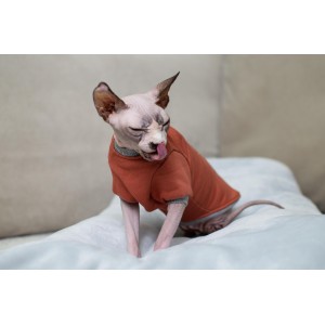Тепла кофта з рукавом для кота та кішки Style Pets «TOY» brick Тепла кофта з рукавом для кота та кішки Style Pets «TOY» brick