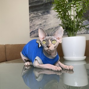 Майка для кота та кішки Style Pets ✌ «victory hand» синя Майка для кота та кішки Style Pets ✌ «victory hand» синя