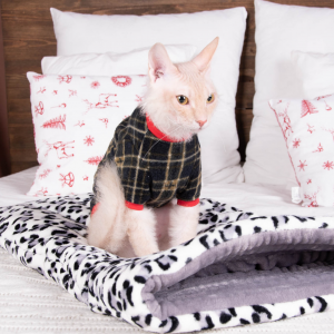Флісова кофта з рукавом для кота та кішки Style Pets "Angel" Флісова кофта з рукавом для кота та кішки Style Pets "Angel"
