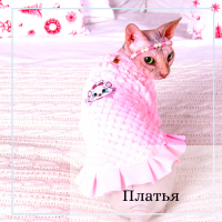 Платья