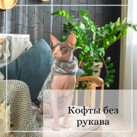 Майки