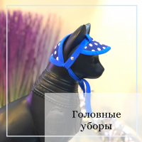 Головные уборы