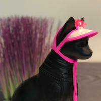 Головной убор (кепка) для кошки Style Pets "PINK peas"