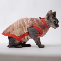 Теплая майка для кота или кошки без рукава Style Pets ALL NEW