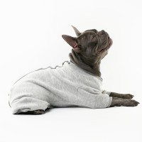 Боди для собак Stella,TM Style Pets Боди для собак Stella,TM Style Pets
