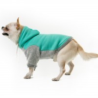 Худи для собак Style Pets DJON бирюзовый Худи для собак Style Pets DJON бирюзовый