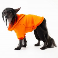 Костюм двійка для собак Style Pets Squash помаранчевий Костюм двійка для собак Style Pets Squash помаранчевий
