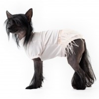 Сукня для собак Style Pets Elza Сукня для собак Style Pets Elza
