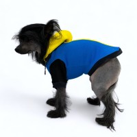 Теплая худи для собак Style Pets BLAZING Y
