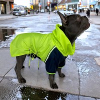 Куртка-дождевик для собак Style Pets G TOWN Куртка-дождевик для собак Style Pets G TOWN