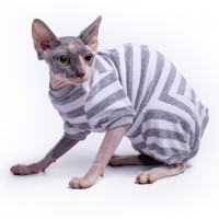 Велюровый боди для котов и кошек Style Pets Sprinter серый