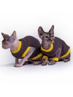 Коти сфінкси - особливості породи котячих (Sphynx) Коти сфінкси - особливості породи котячих (Sphynx)