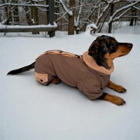 Зимовий комбінезон для собак Style Pets ELIZA колір капучино Зимовий комбінезон для собак Style Pets ELIZA колір капучино