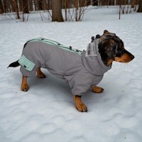 Зимовий комбінезон для собак Style Pets ELIZA колір сірий Зимовий комбінезон для собак Style Pets ELIZA колір сірий